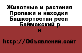 Животные и растения Пропажи и находки. Башкортостан респ.,Баймакский р-н